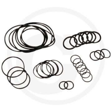 Annovi Reverberi O-ring set (tot serienr. 1801913999 (tot KW 19/2013))