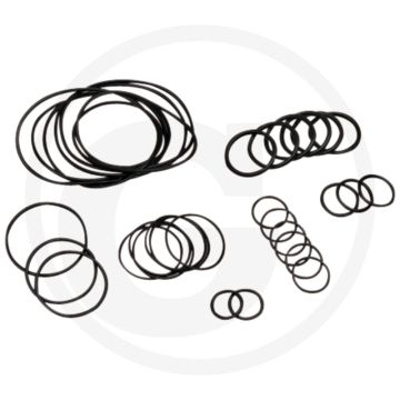 Annovi Reverberi O-ring set (vanaf serienummer 182013001 (vanaf KW 20/2013))