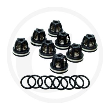 Annovi Reverberi Kleppenset (O-ring 670620030 klep 6701409050)