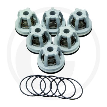Annovi Reverberi Kleppenset (O-ring 670680070 klep 6702249050)