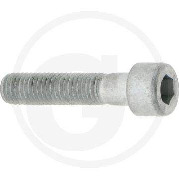 Comet Bout M10 x 45 mm - Referentienr. 00049-00398, 3609016100