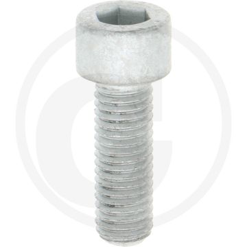 Comet Bout M10 x 30 mm (Aantal per pomp 2)