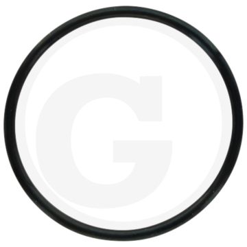 Comet O-ring Ø 2,62 x 44,12 mm