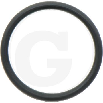 Comet O-ring Ø 2,5 x 25 mm - Aantal per pomp 1