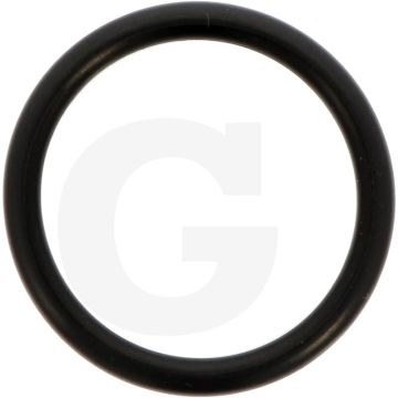 Comet O-ring Ø 2,62 x 20,7 mm - Aantal per pomp 2