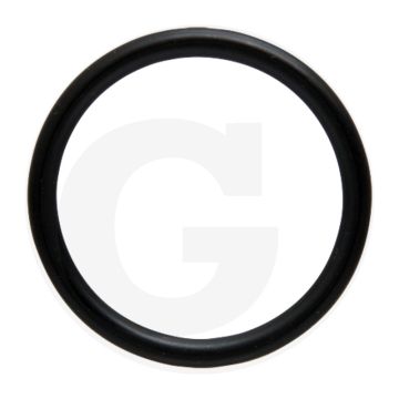 Comet O-ring Ø 38 x 4 mm, Ref. 00005-00545 - Voor BP 151 K en BP 171 K