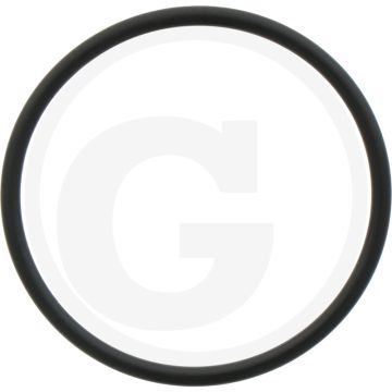 Comet O-ring Ø: 2,62 x 42,52 mm
