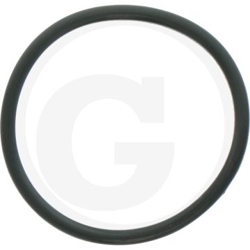 Comet O-ring Ø 2,62 x 34,6 mm