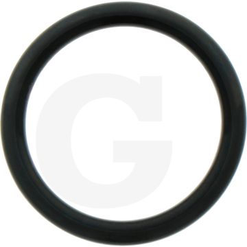 Comet O-ring Ø 3,53 x 25,8 mm - 6 stuks