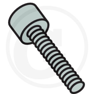 Comet Nummerplaatbouten M10 x 70 mm - 12 per pomp
