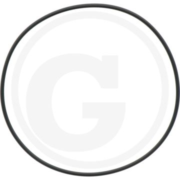 Comet O-ring Ø 3 x 120 mm - Ref. 00005-00919 - Aantal per pomp 3