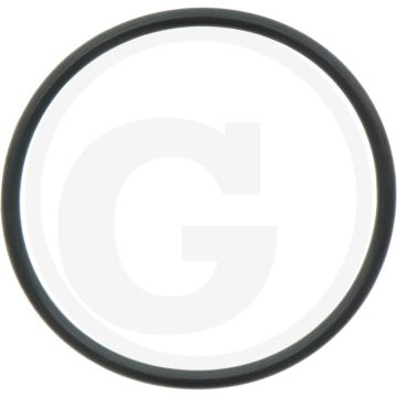 Comet O-ring Ø 2,62 x 45,69 mm
