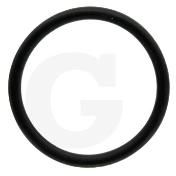 Comet O-ring Ø 3,53 x 36,1 mm