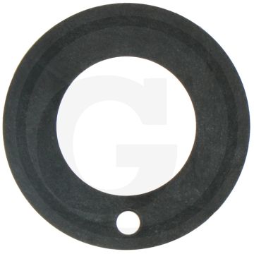Rauch Schijf (36 x 20 x 1,5 mm)