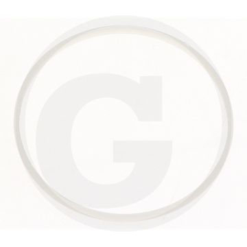 Eisele Dichtring 35 x 36,6 x 1,9 mm (passend für ZP 454-654, ZQ 403-653, ZQU 403-653)