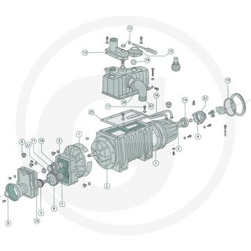 Battioni Pagani Keerring (35 x 50 x 7 mm)
