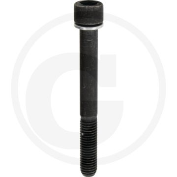 Battioni Pagani Nummerplaatbouten (DM221, M10 x 90)