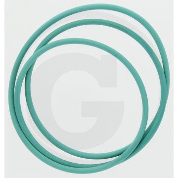 Ring OR 4975 Viton (Ø: 250 mm Dikte: 3,5 mm)
