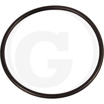 Battioni Pagani O-ring voor draaizuigerpompen BR 40-280 / D - Afb. nr. 30