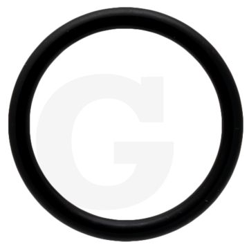 Battioni Pagani O-ring (passend voor BR EVO 70)