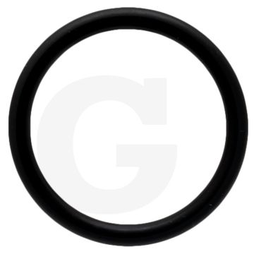 Battioni Pagani O-ring (passend voor BR EVO)