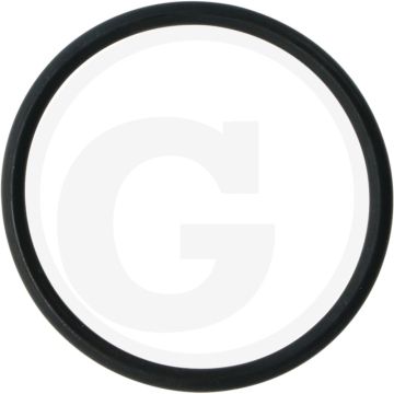 O-ring (54 x 4 mm, afdichtring)