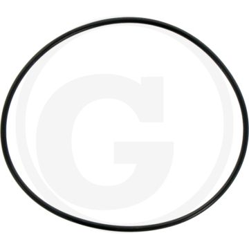 O-ring (85 x 2,5 mm)