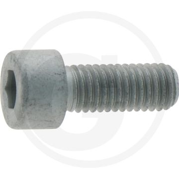 Eckart Cilindrische binnenzeskantbouten (voor E4000GLD M8 x 29)