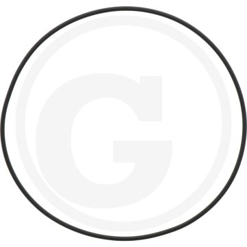 MZ Afdichtring 6”, 171,05 x 3,53 mm (nieuwe uitvoering)