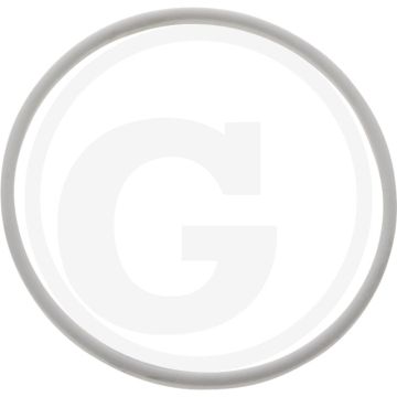 MZ Afdichtring 6" GUNY0080150015