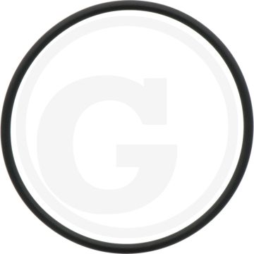 MZ O-ring Ø 117,5 x 5,34 mm, voor 4" (nieuwe uitvoering)