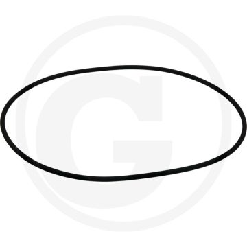 MZ O-ring Ø: 316,9 x 6,99 mm