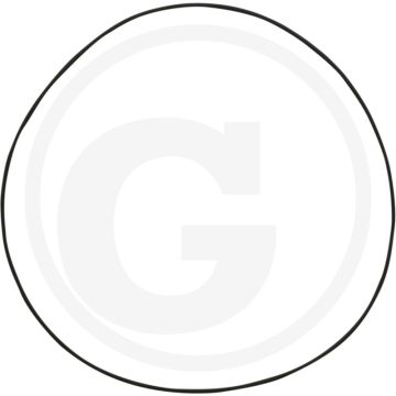 RIV O-ring (voor bovendeel)