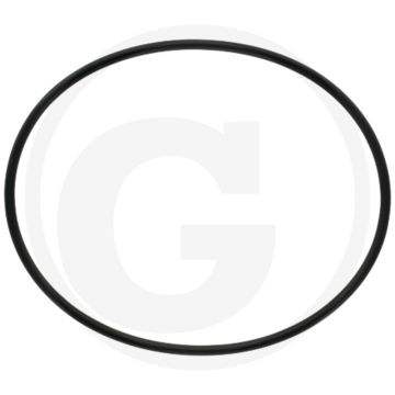 MZ O-ring Ø 215,3 x 6,99 mm voor 8" (Afb. nr. 6)