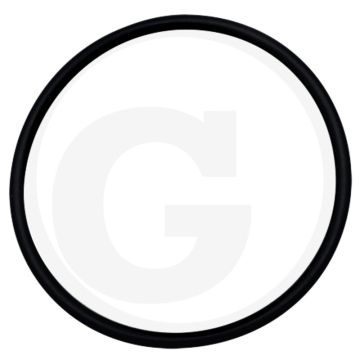 O-ring (47 x 2,5 mm)