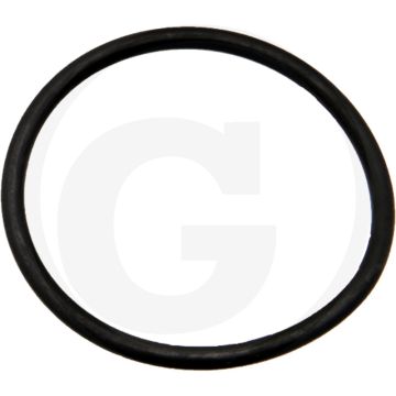 O-ring (Ø: 51 x 3,5 mm)