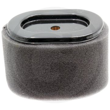 Luchtfilter Briggs & Stratton 85x60x62mm