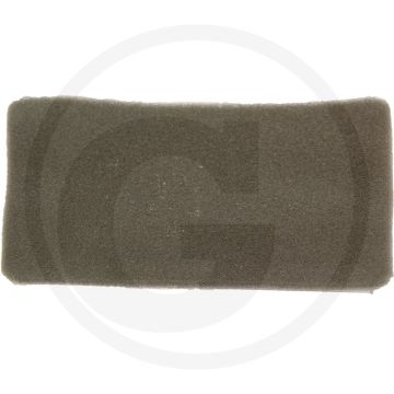 Loncin Voorfilter (voor luchtfilter 55800098)