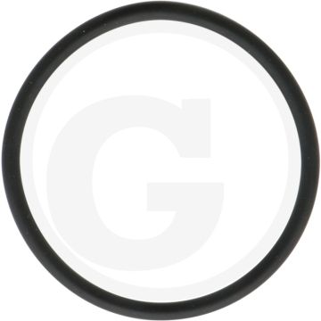 Loncin Afdichting (voor oliepomp)