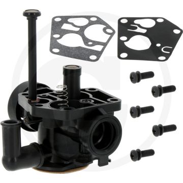Membraancarburateur Briggs & Stratton 09C900