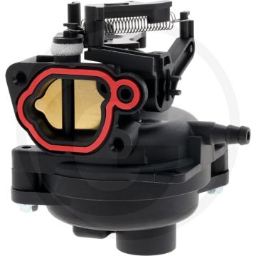 Vergaser Briggs & Stratton 09P702