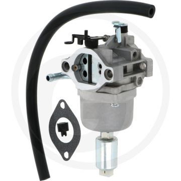 Carburateur Briggs & Stratton 21R800