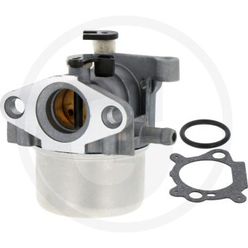 Carburateur Briggs & Stratton 122M00