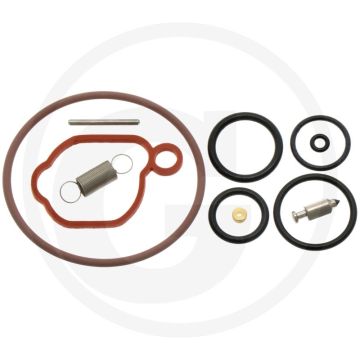 Briggs & Stratton Reparatursatz 08P502, 093J00, 09P600...