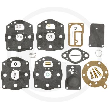 Reparatieset Briggs & Stratton 42B700