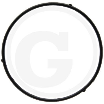 Loncin Vlotterhuisafdichting - Buiten-Ø: 52mm, Binnen-Ø: 48mm