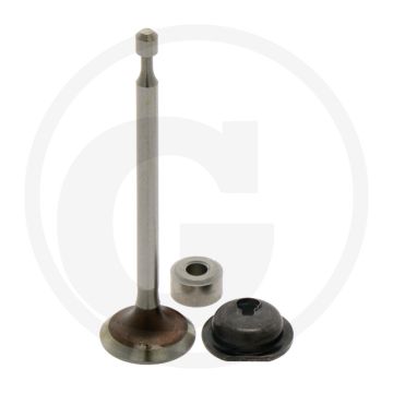 Briggs & Stratton Uitlaatklep 09P602