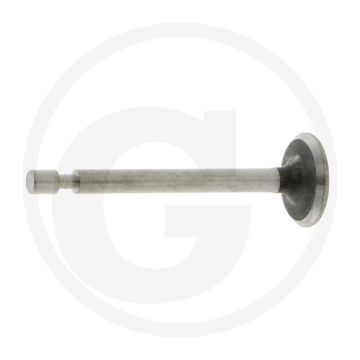 Briggs & Stratton INLAATKLEP Type: 090602, 100602...