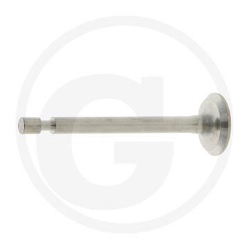 Briggs & Stratton UITLAATKLEP Type: 090602, 100602, 100605...