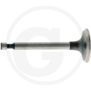 Einlaßventil Honda GX160